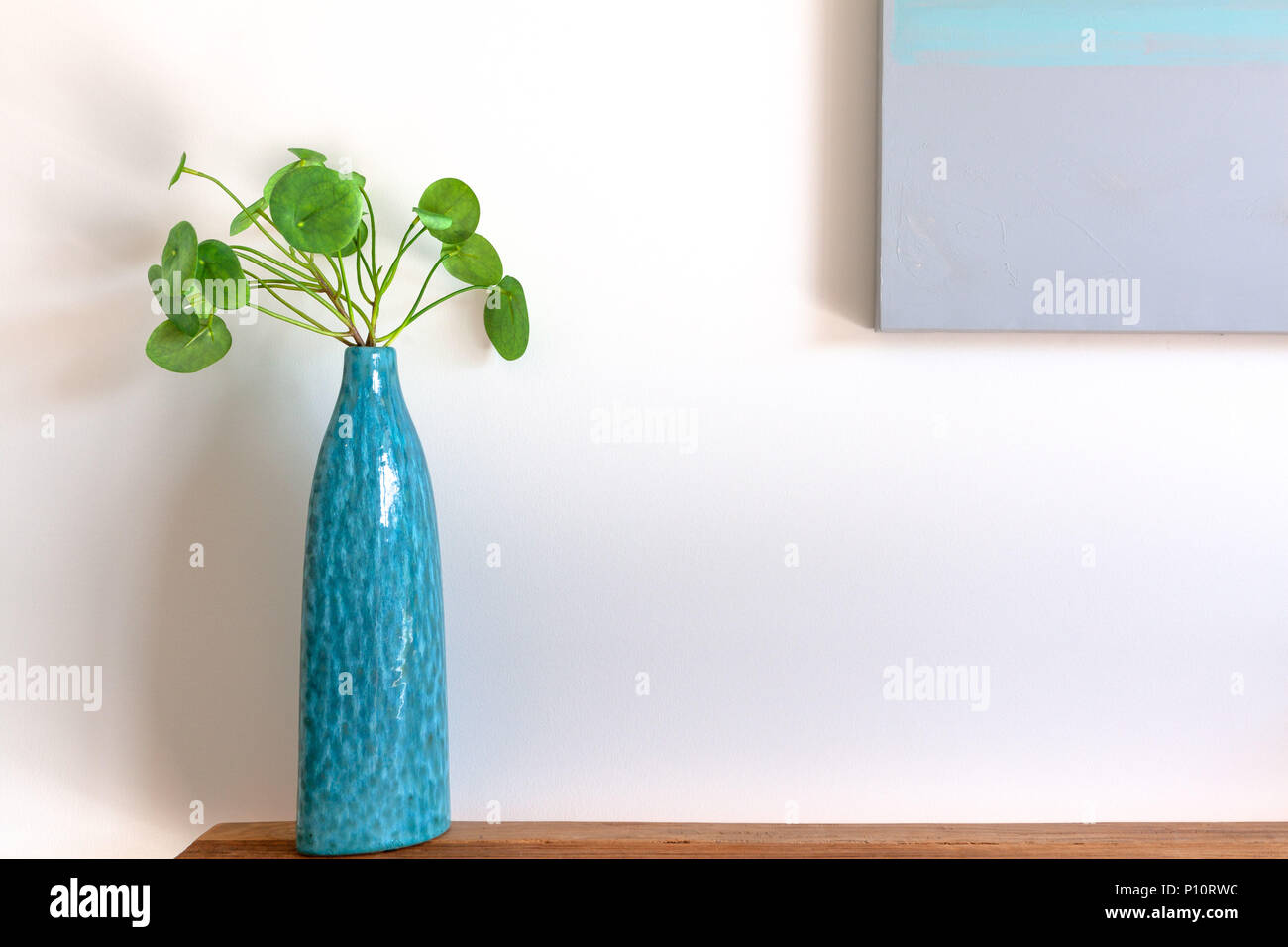 Close-up di denaro cinese di pianta in un vaso blu sul lato in legno tavolo contro il muro bianco con spazio di copia Foto Stock