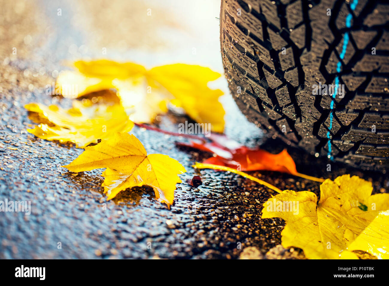 Pneumatici invernali su strada bagnata con foglie, simbolo Foto stock -  Alamy