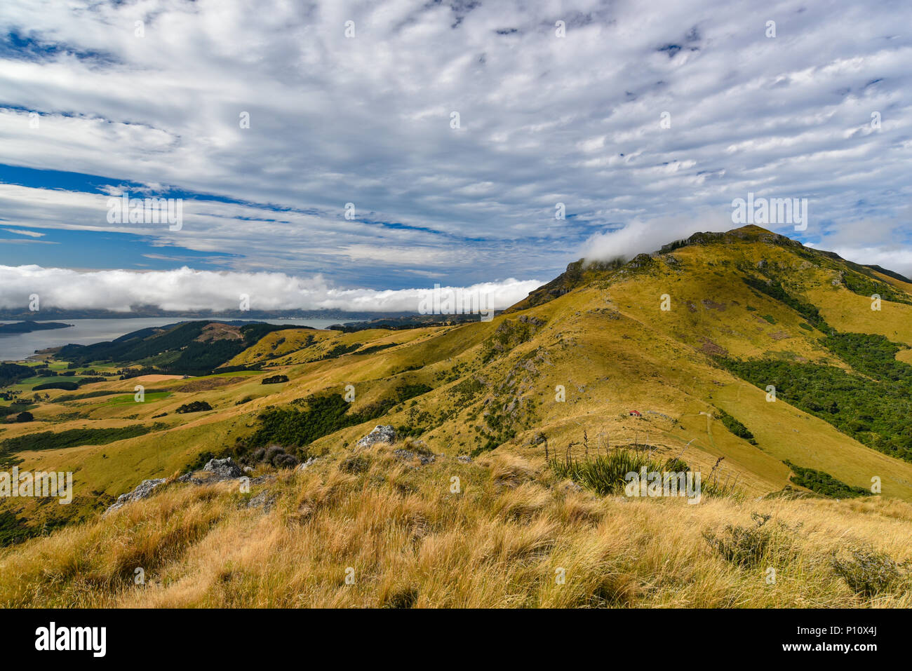 Montagne verdi e colline in Nuova Zelanda Foto Stock