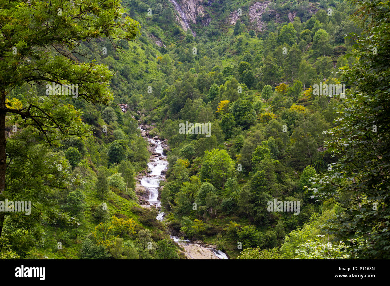 Piccolo, grazioso cascate nascoste assorbita nella selvaggia natura della montagna Foto Stock