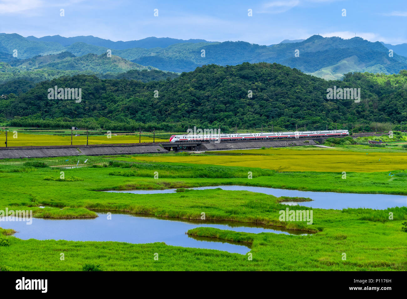Treno che passa attraverso il campo di Taiwan Foto Stock