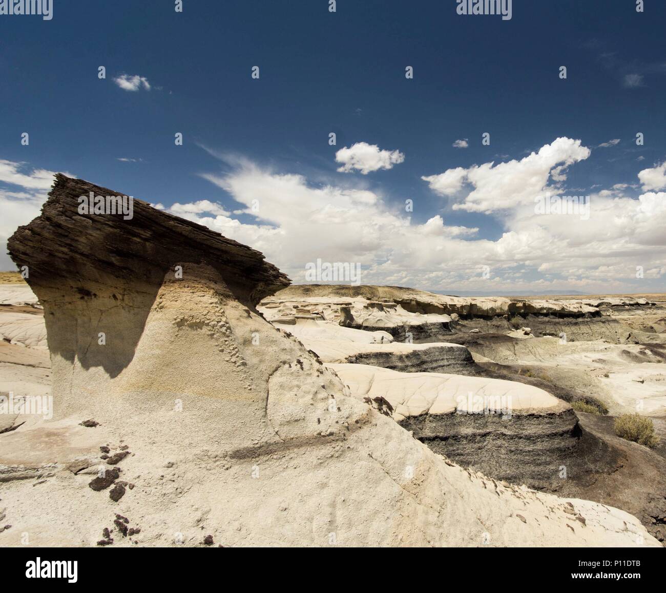 Wild il paesaggio del deserto nel New Mexico settentrionale con bizzarre formazioni rocciose Foto Stock