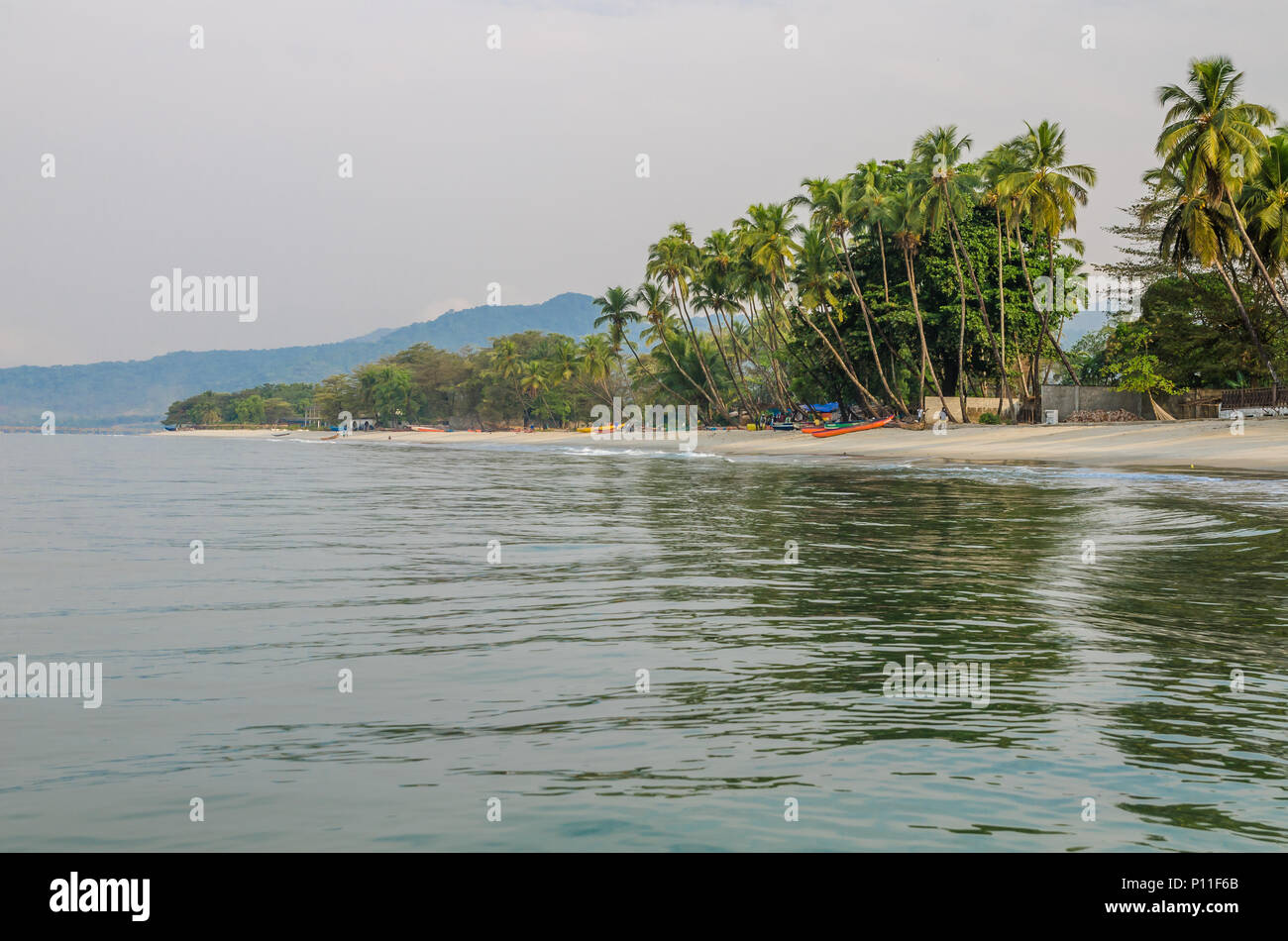 Acqua calma, palme e la spiaggia di sabbia bianca sulla spiaggia Tokeh, a sud di Freetown, Sierra Leone, Africa Foto Stock