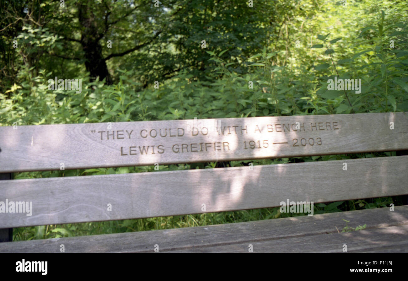 Una panchina nel parco in profondità nel bosco a Hamstead Heath incisi... "Essi potrebbero fare con un banco qui' Foto Stock