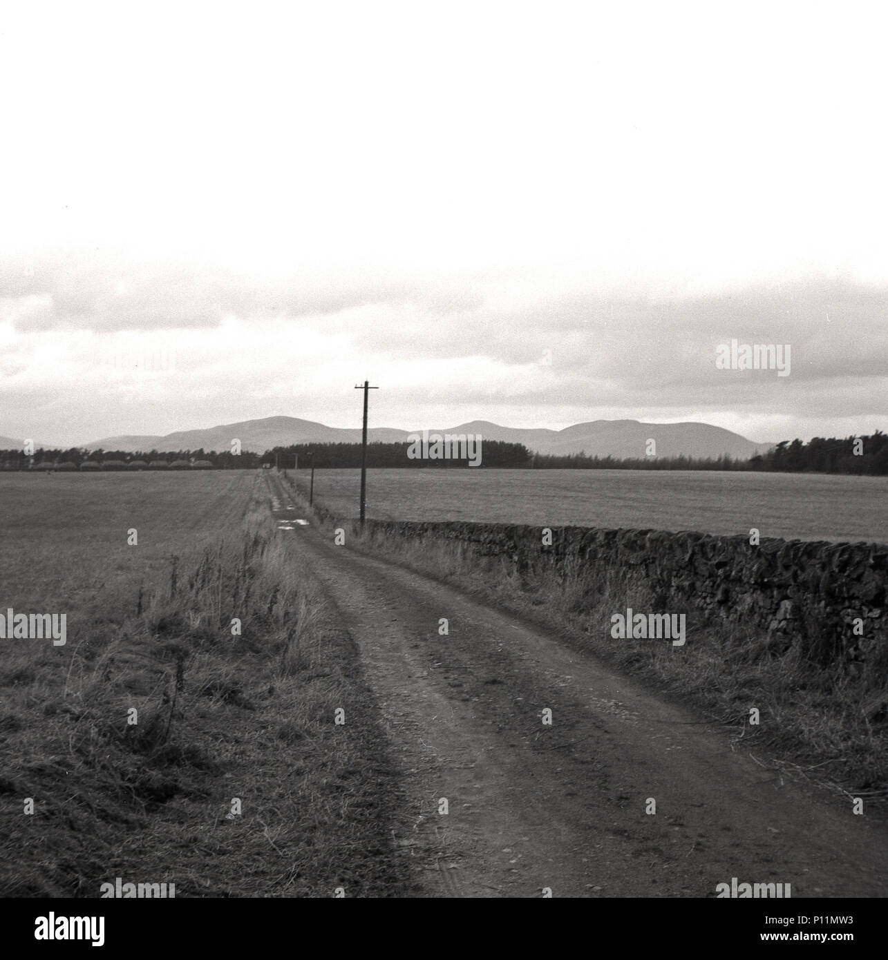 1955, storico, erba lunga facciata il percorso o la traccia nella campagna accanto a una stonewall e tra i campi di fattoria di lavoro veicoli ad acces, Highlands, Scozia, Regno Unito, Foto Stock