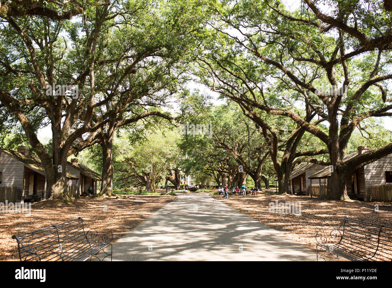 Ripristinato quarti slave a Oak Alley Plantation in Vacherie, Louisiana, Stati Uniti d'America. Foto Stock