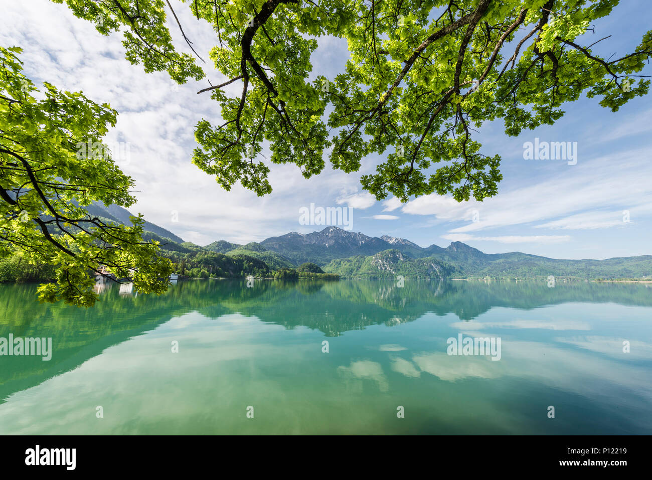 Colore verde brillante albero canopy di alberi sul panorama del Lago Kochelsee e Monte Herzogstand, Baviera, Germania Foto Stock