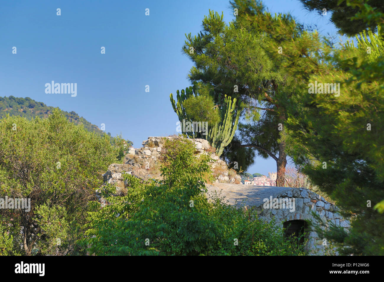 Il lato orientale della collina del Castello di Nizza con alberi e rovine di vecchi edifici. Foto Stock
