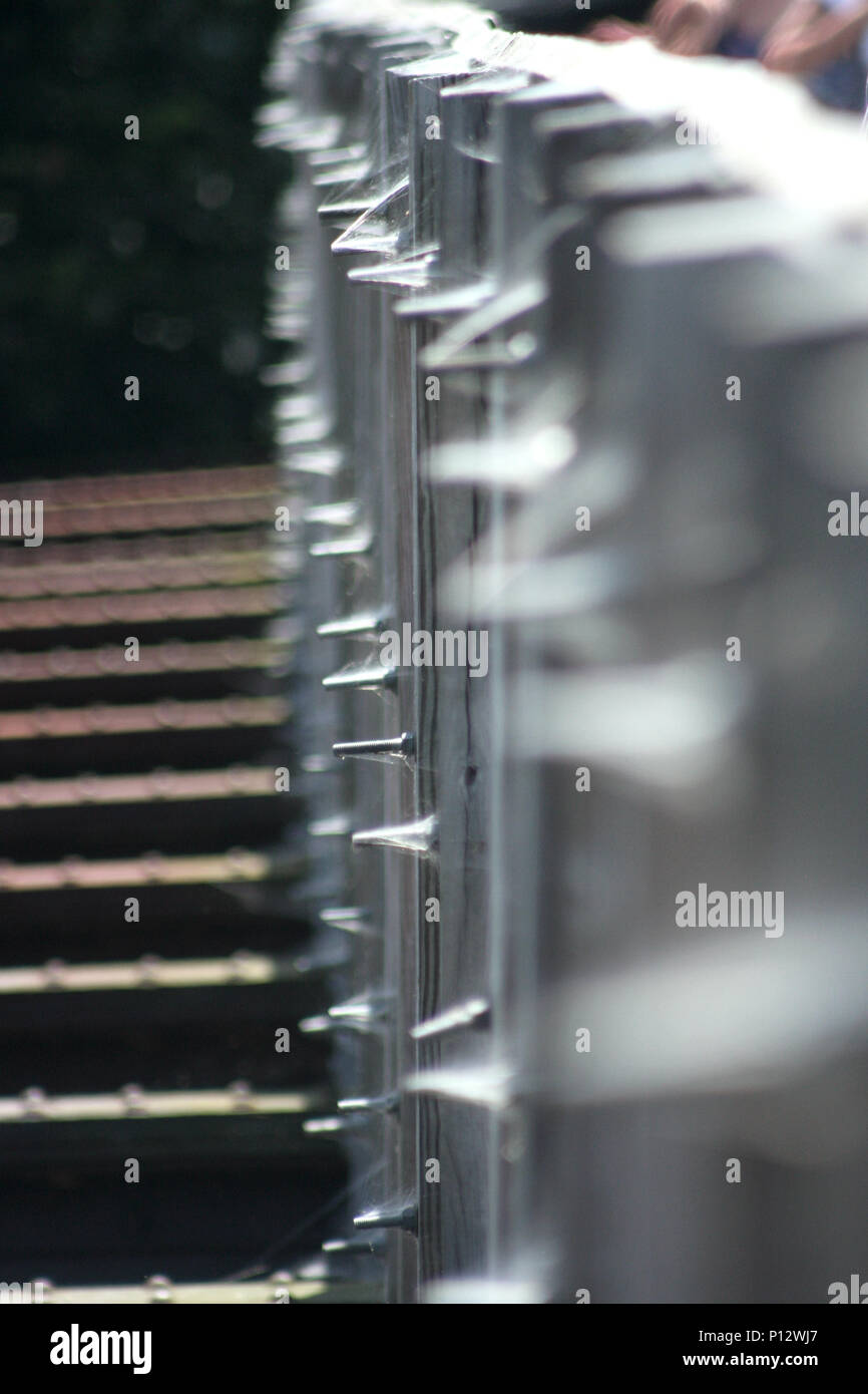 Close up di chiodi coperti in spiderwebs sul ponte Foto Stock