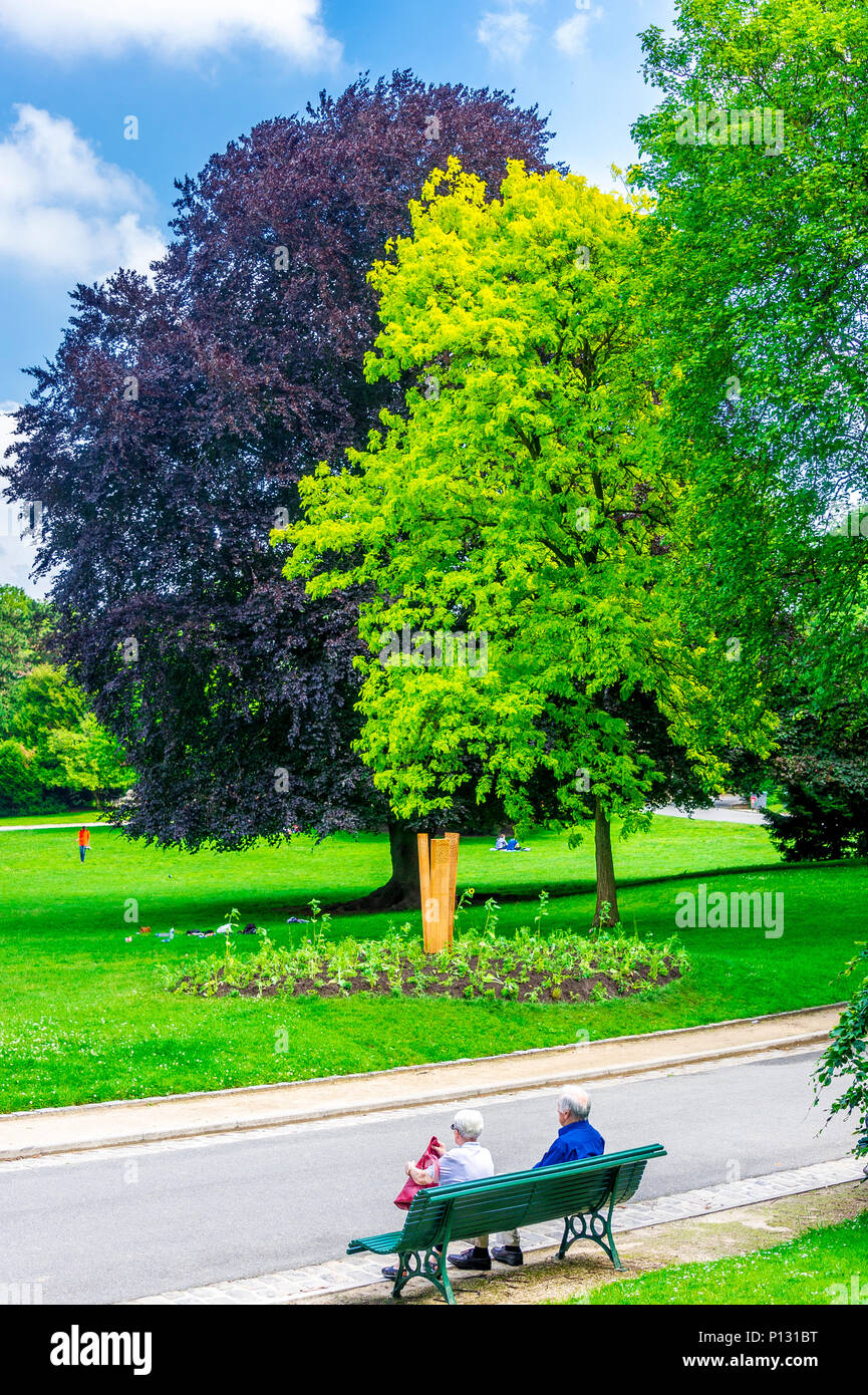 Gli alberi alti sono un punto forte in estate nel Parc Montsouris. 14th circondario, Parigi, Francia. Foto Stock