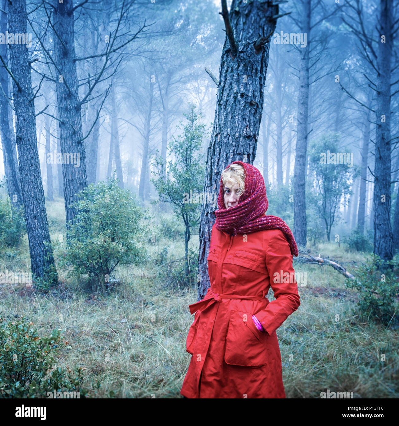 La donna in un boschetto di pini. Tierra Estella County, Navarra, Spagna, Europa. Foto Stock