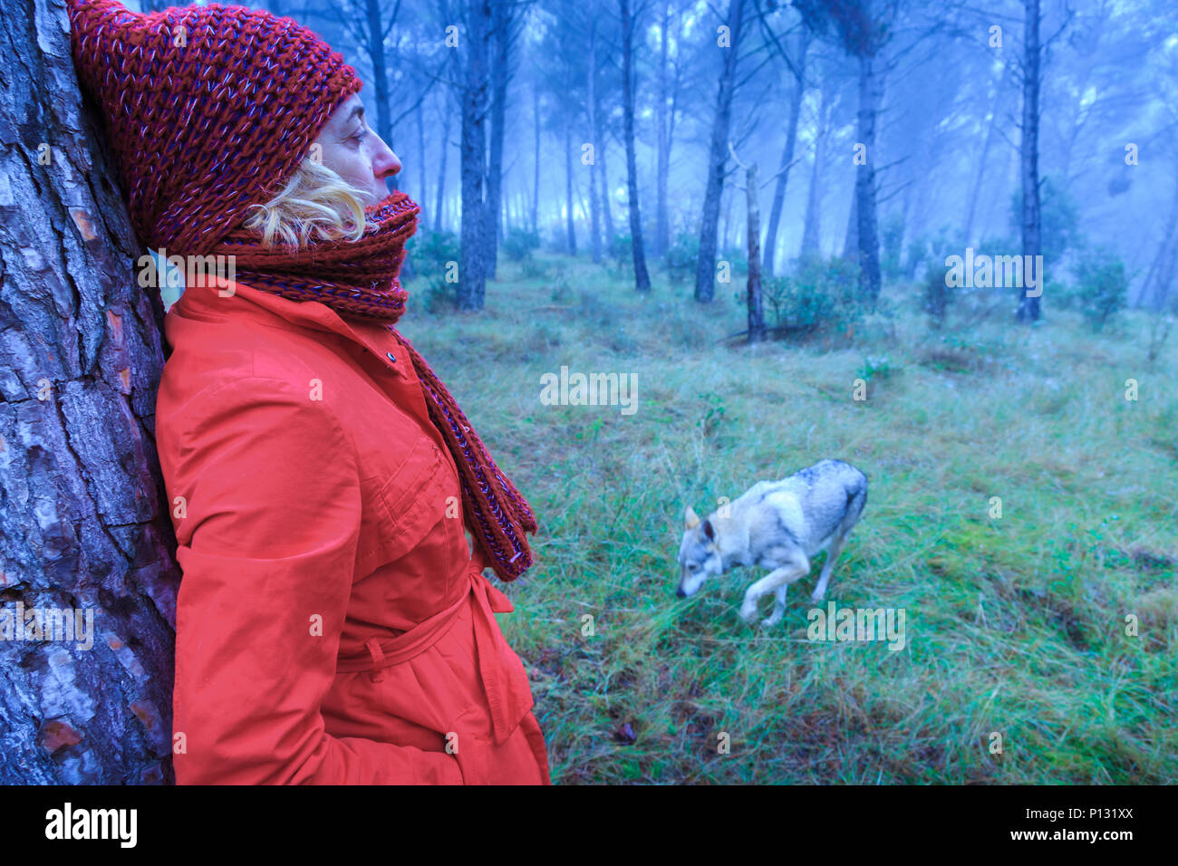 La donna in un boschetto di pini con un cane lupo. Tierra Estella County, Navarra, Spagna, Europa. Foto Stock