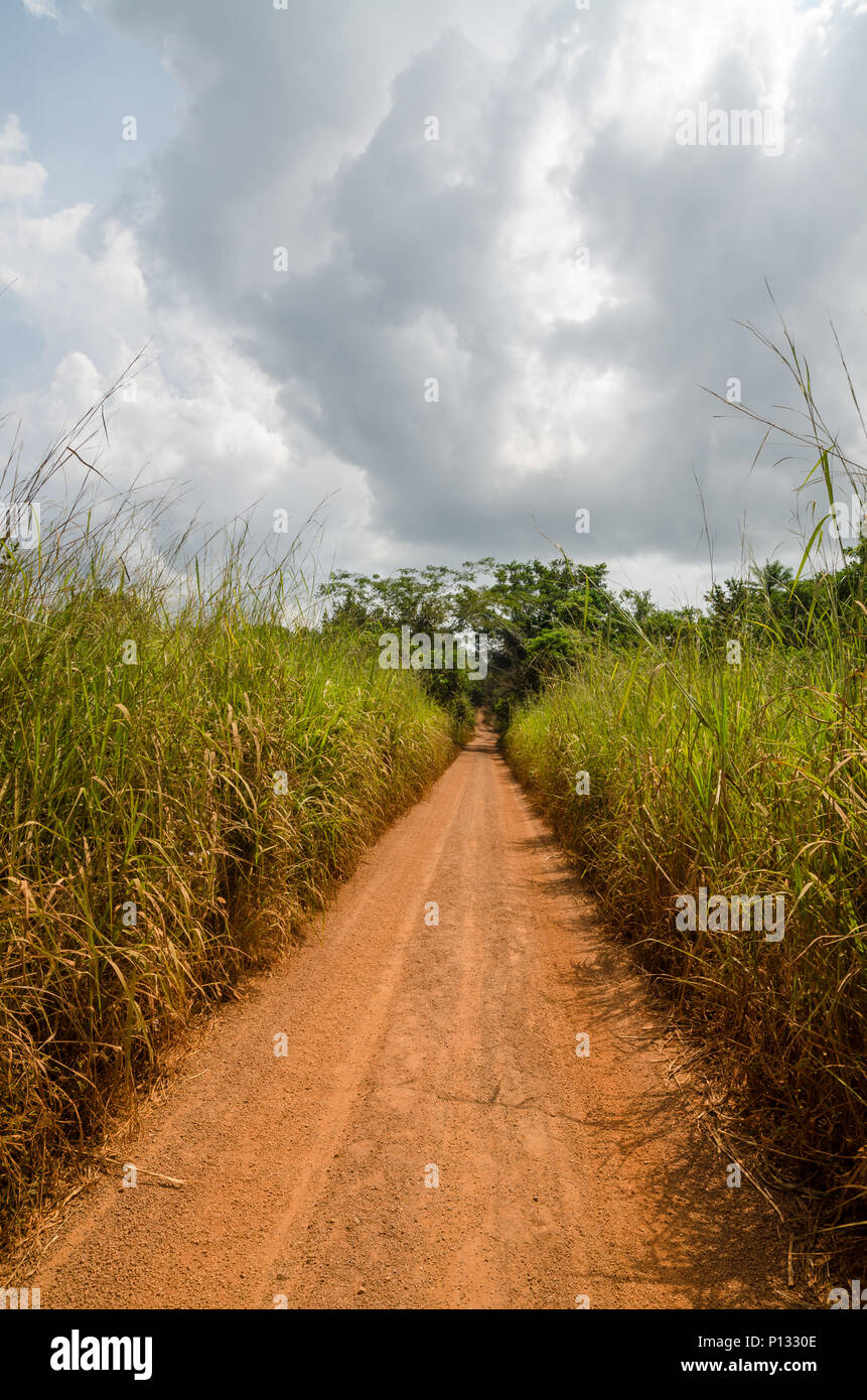 Rosso sporco via con alta erba elefante crescente sui lati e drammatico cielo nuvoloso, rurale della Sierra Leone, Africa Foto Stock