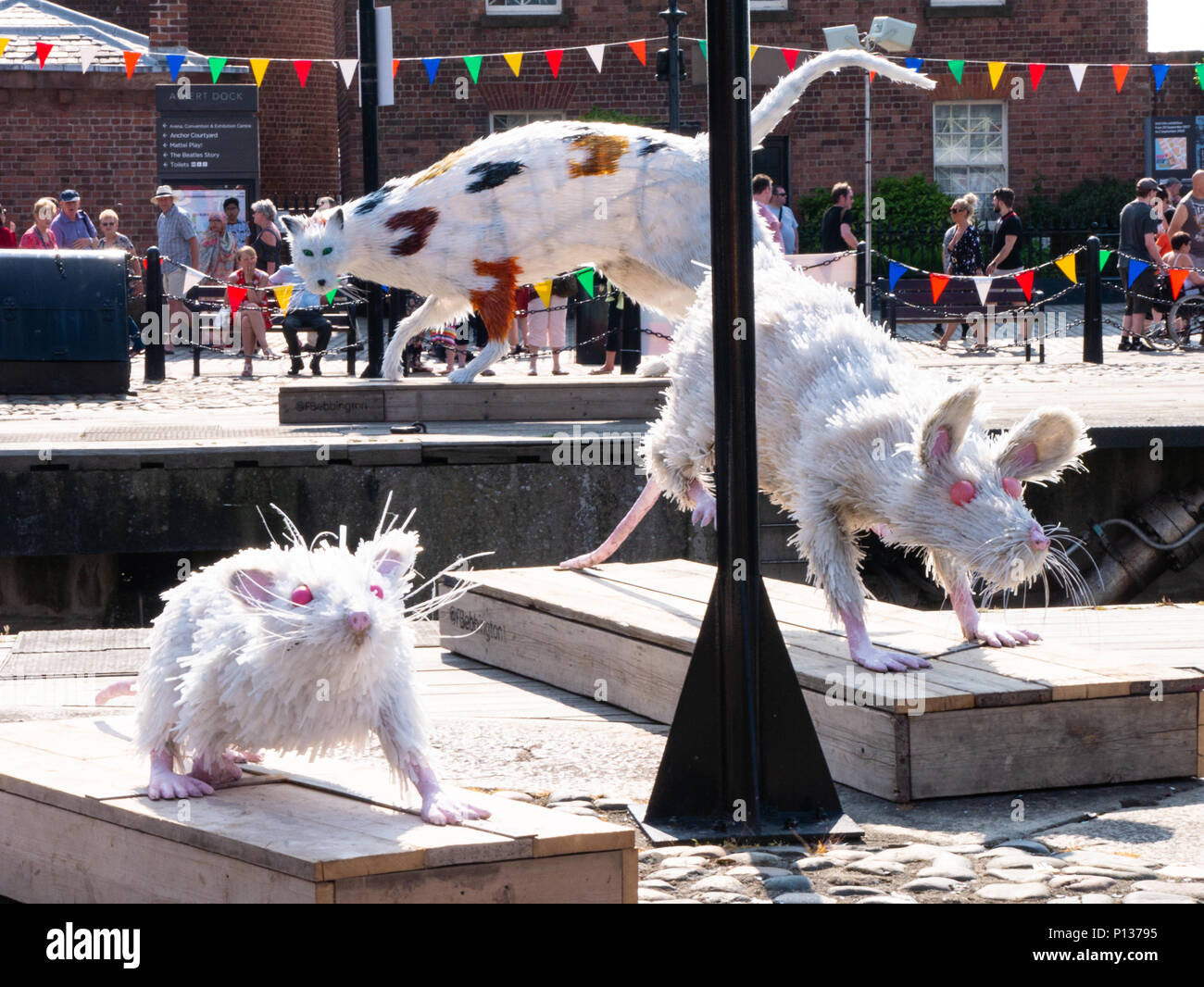 Della Nave e cat Super rat, arte presentano dalla fede Bebbington, Albert Dock, Liverpool, UK, 2018 Foto Stock