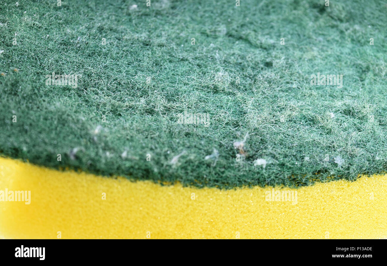 Giallo spong con green scrubber - disegno o una trama Foto Stock