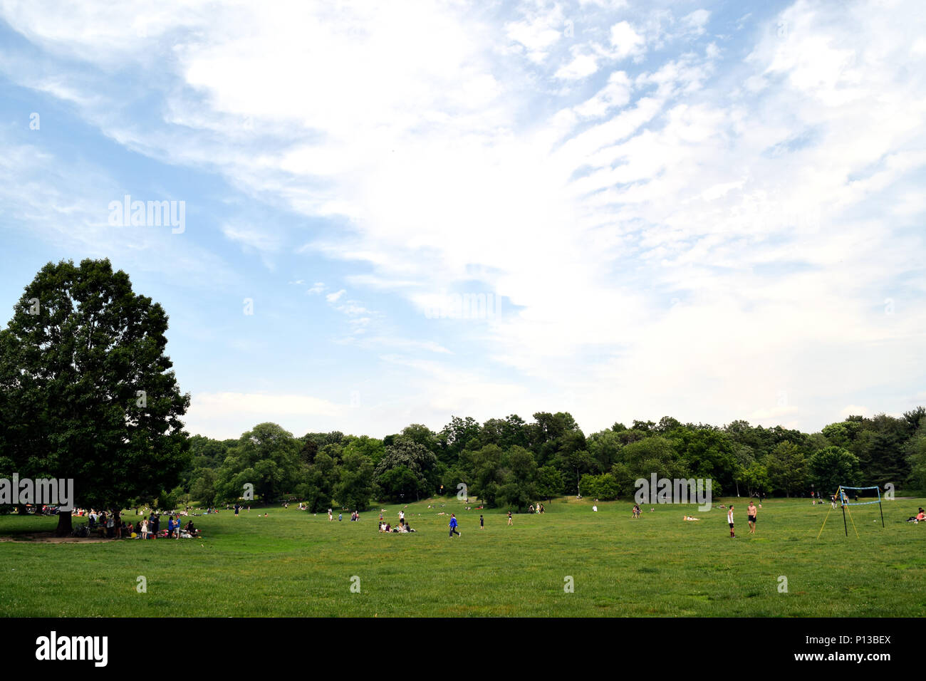 NEW YORK, NY - 11 giugno 2016: Prospect Park di Brooklyn su una soleggiata giornata estiva Foto Stock