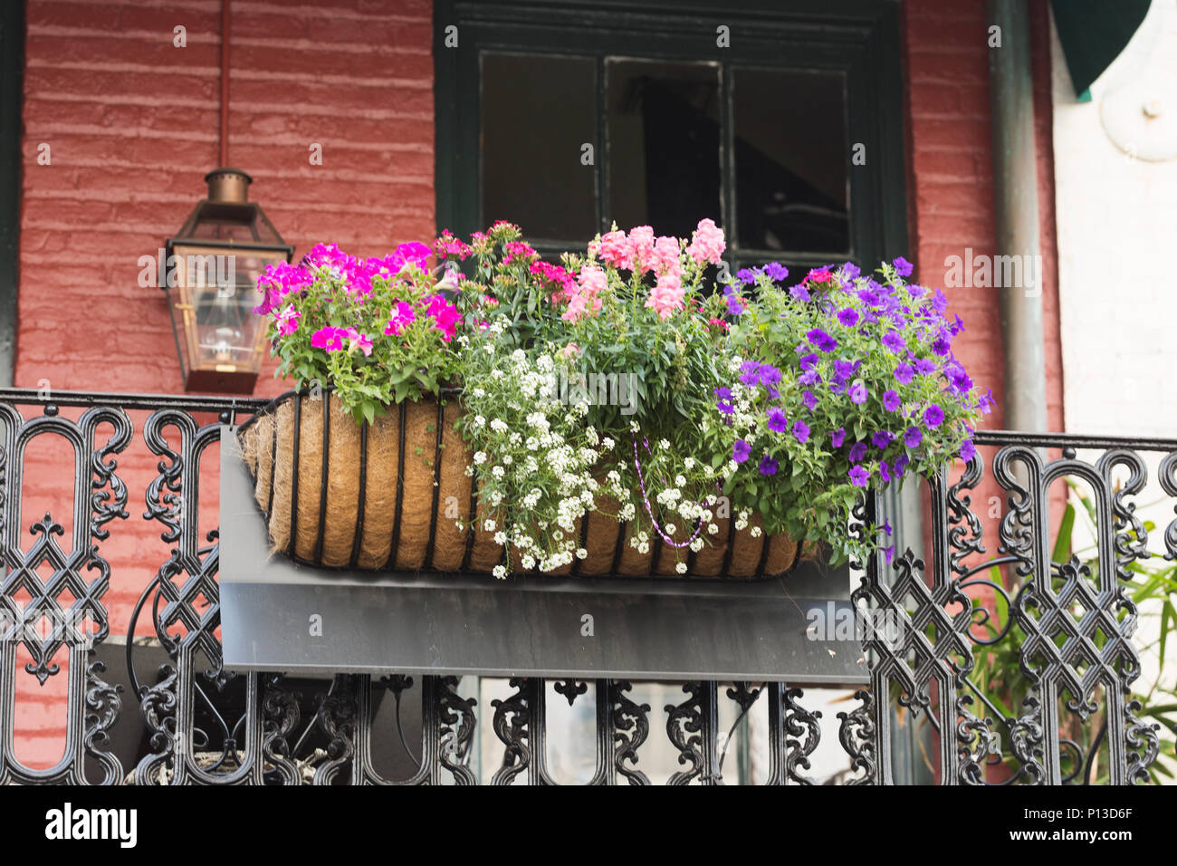 Un fiore coloratissimo scatola su un balcone nel Quartiere Francese di New Orleans, in Louisiana. Foto Stock