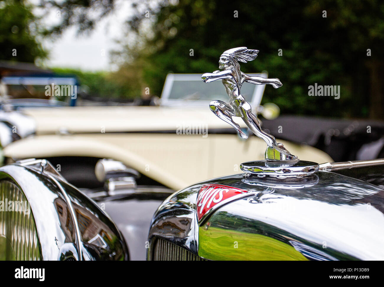 Alvis auto cofano argento ornamento e mascotte auto prese a Puddletown, Dorset, Regno Unito il 10 giugno 2018 Foto Stock