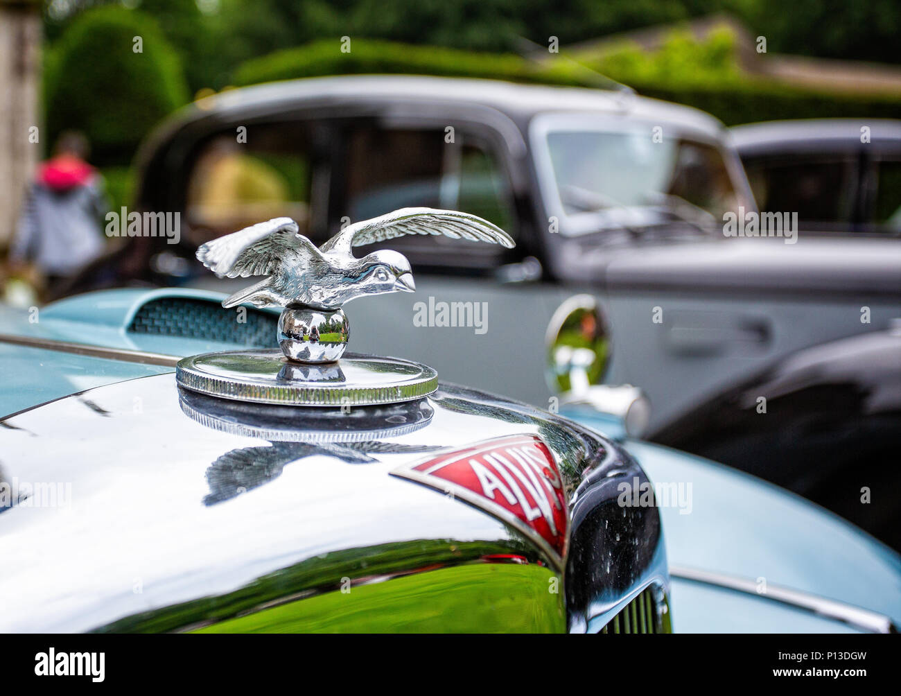 Alvis auto cofano argento ornamento e mascotte auto prese a Puddletown, Dorset, Regno Unito il 10 giugno 2018 Foto Stock