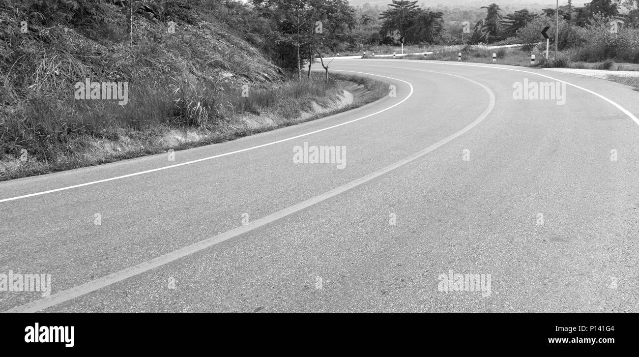 Strada di campagna con alberi su entrambi i lati. Foto Stock