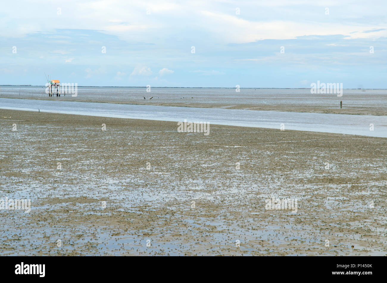 La vasta spiaggia fangosa in Thailandia. Foto Stock
