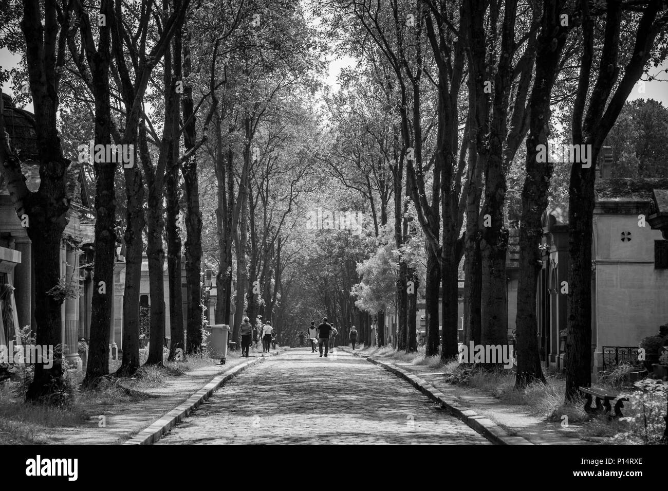 Le ampie strade alberate del cimitero di Père Lachaise sono il luogo ideale per una passeggiata estiva. Parigi, Francia Foto Stock