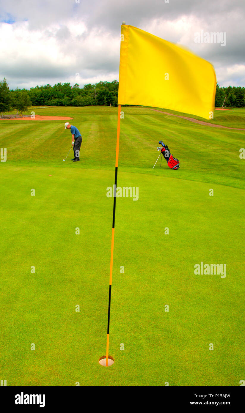 Un giocatore di golf si prepara a chip sul verde Foto Stock