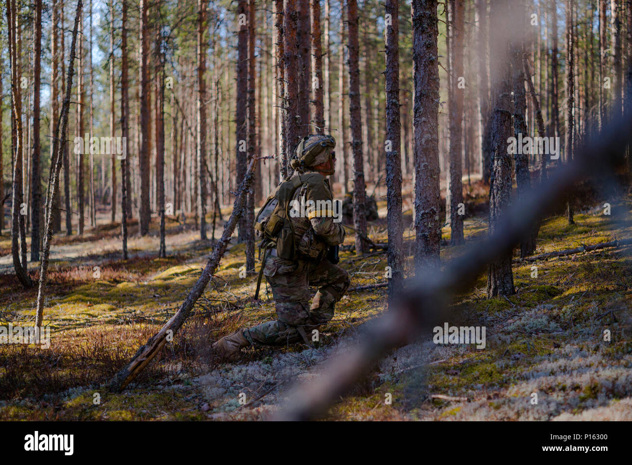 Stati Uniti I soldati delle truppe di Apache, 1° Stormo, 2° reggimento di cavalleria, di pattuglia durante una missione di addestramento in Pohjankangas, Niinisalo, Finlandia, 6 maggio 2017. La truppa, accanto al finlandese e soldati norvegesi hanno partecipato a freccia 17, un annuale di formazione finlandese di esercizio che migliora l'interoperabilità e la capacità di meccanizzato, motorizzato ed unità blindate per eseguire manovre tattiche insieme. Foto Stock