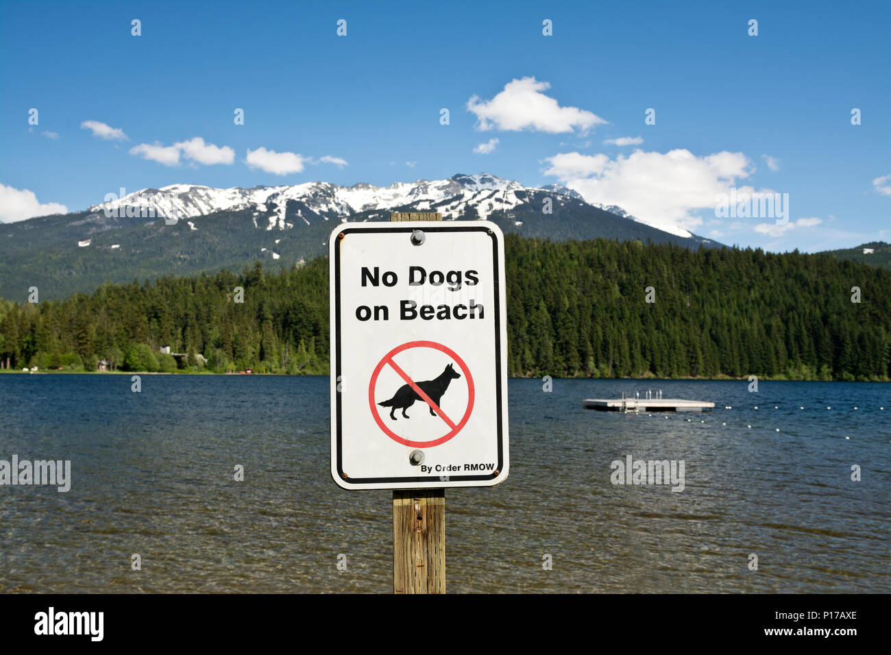 'No cani sulla spiaggia' segno inviato ad Alta Lago in Whistler, BC, Canada. Foto Stock