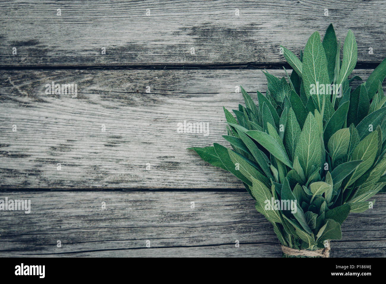 La Salvia officinalis. Foglie di salvia sul vecchio tavolo in legno. Giardino salvia. Rivista retrò foto. Copia dello spazio. Foto Stock