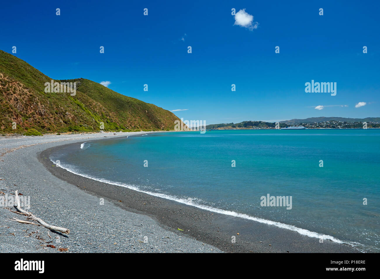 Camp Bay e del porto di Wellington, Porto Orientale Parco Regionale, Eastbourne, Wellington, Isola del nord, Nuova Zelanda Foto Stock