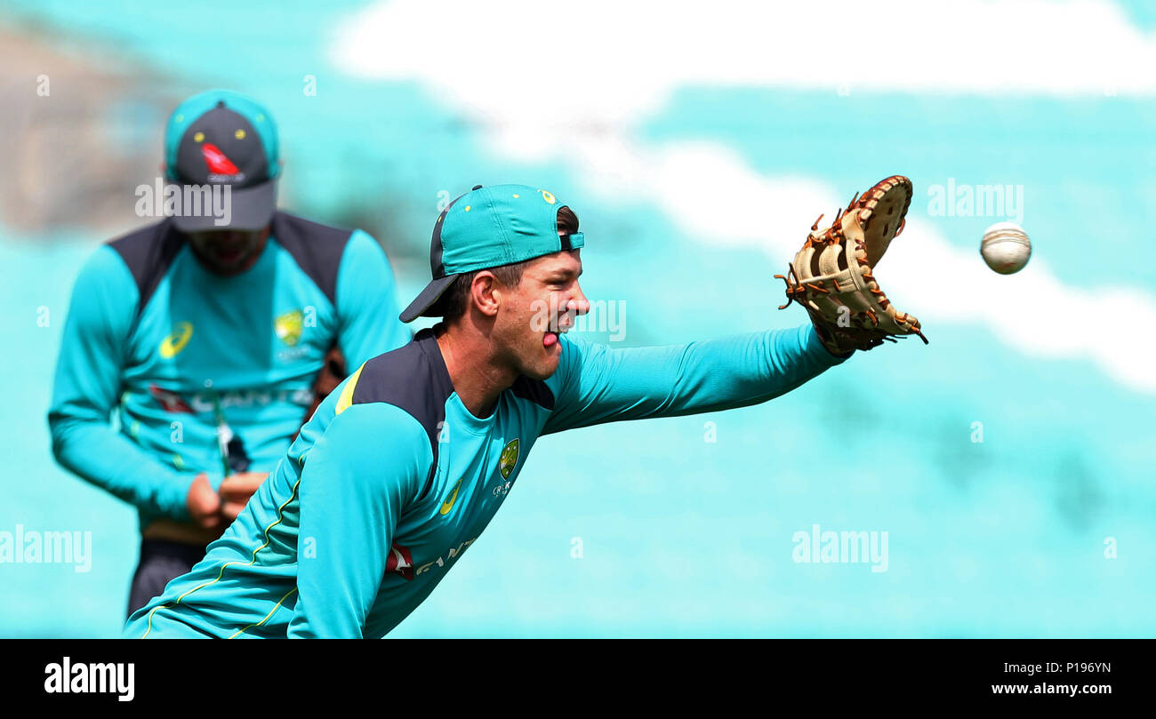 In Australia il capitano Tim Paine durante la sessione di reti presso la Kia ovale, Londra. Foto Stock