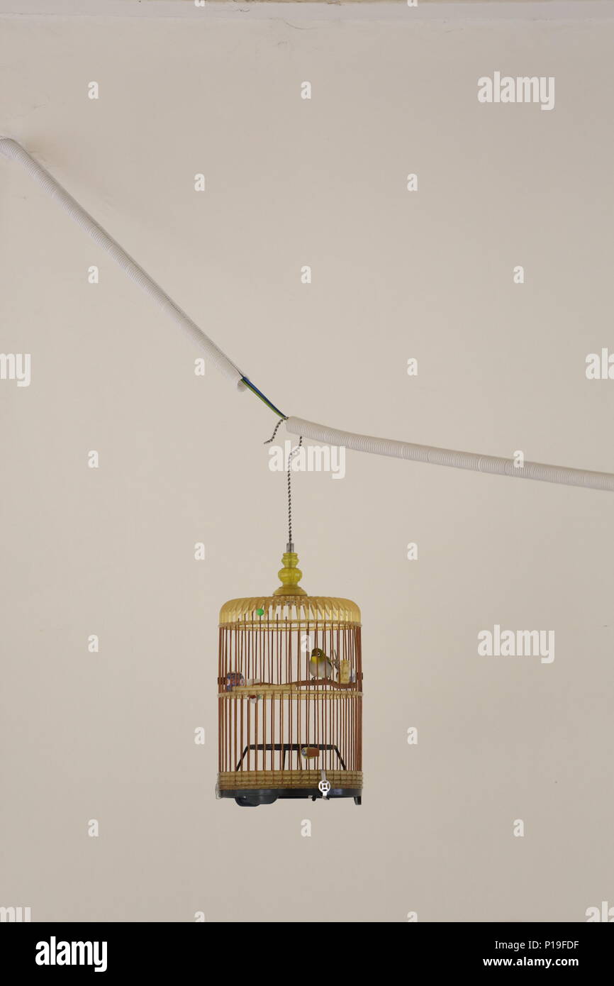 Una gabbia di uccelli si impiccò per mostrare il suo uccello che cantava. Singapore Foto Stock