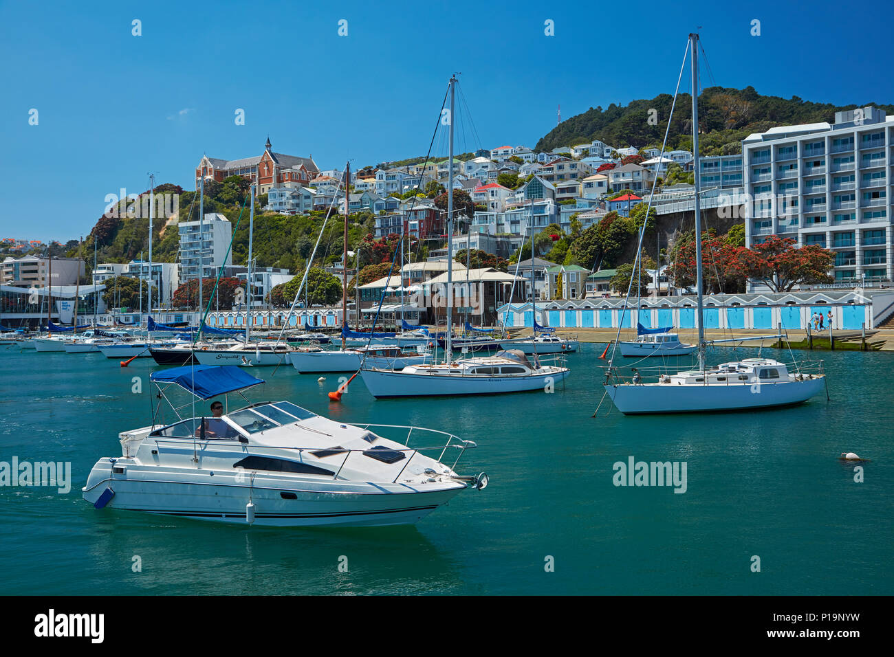 Barche, Clyde Quay Marina e ville storiche, Oriental Bay, Wellington, Isola del nord, Nuova Zelanda Foto Stock