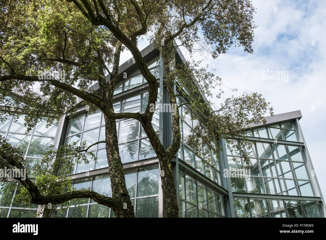 Esterno di un Tropicarium glasshouse edificio all interno giardini botanici Palmengarten, Frankfurt am Main, Hesse Darmstadt, Germania. Foto Stock