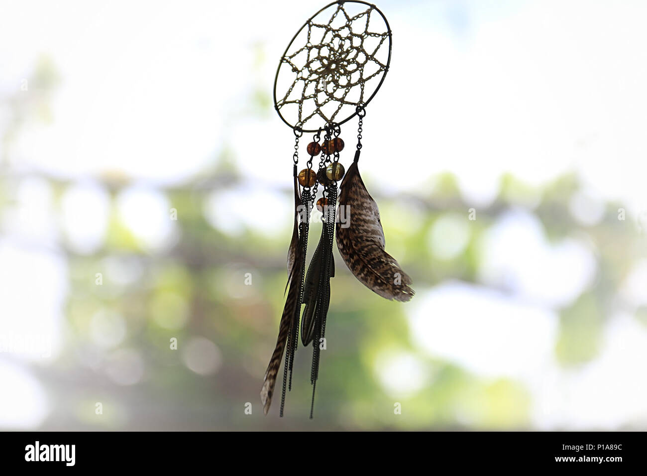 Un dream catcher contro uno sfondo sfocato di foglie. Foto Stock