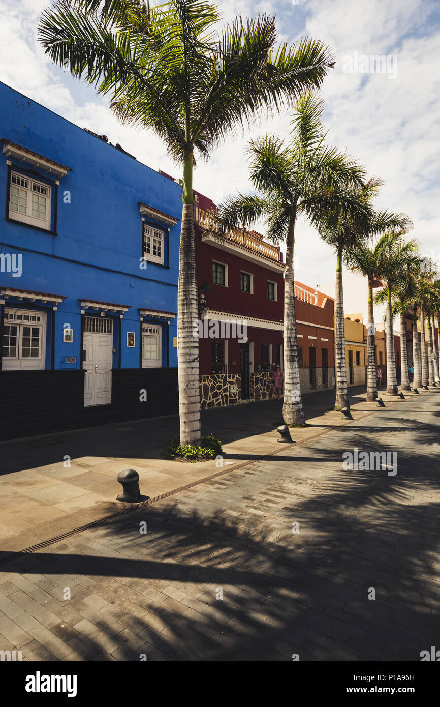 Facciate di case colorate e palme sulla tipica canaria street, Puerto de la Cruz, Tenerife, Spagna. Foto Stock