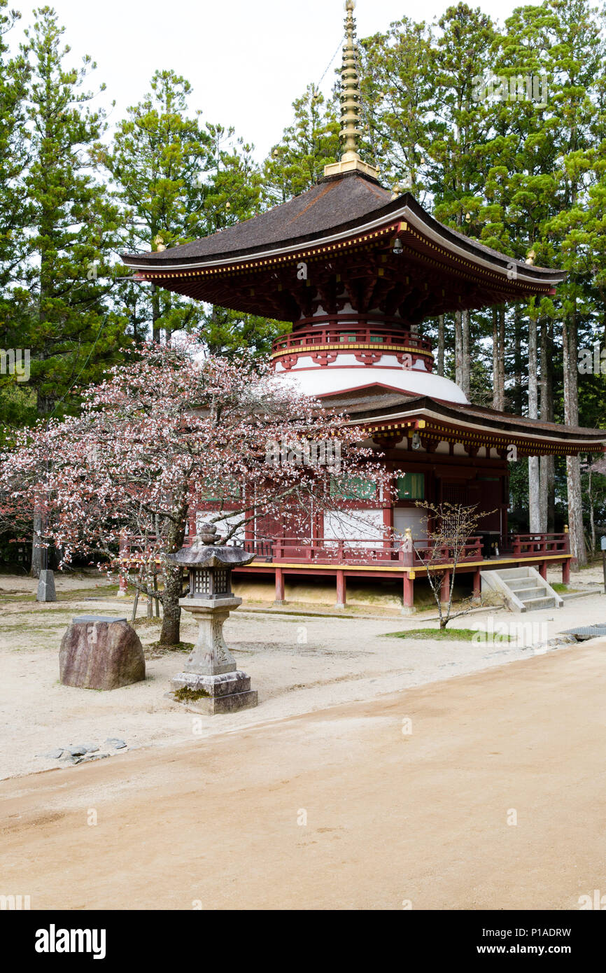 Toto il santuario del tempio nella motivazione della dai Garan, Kongobu-ji tempio complesso, Koyasan, Giappone. Foto Stock