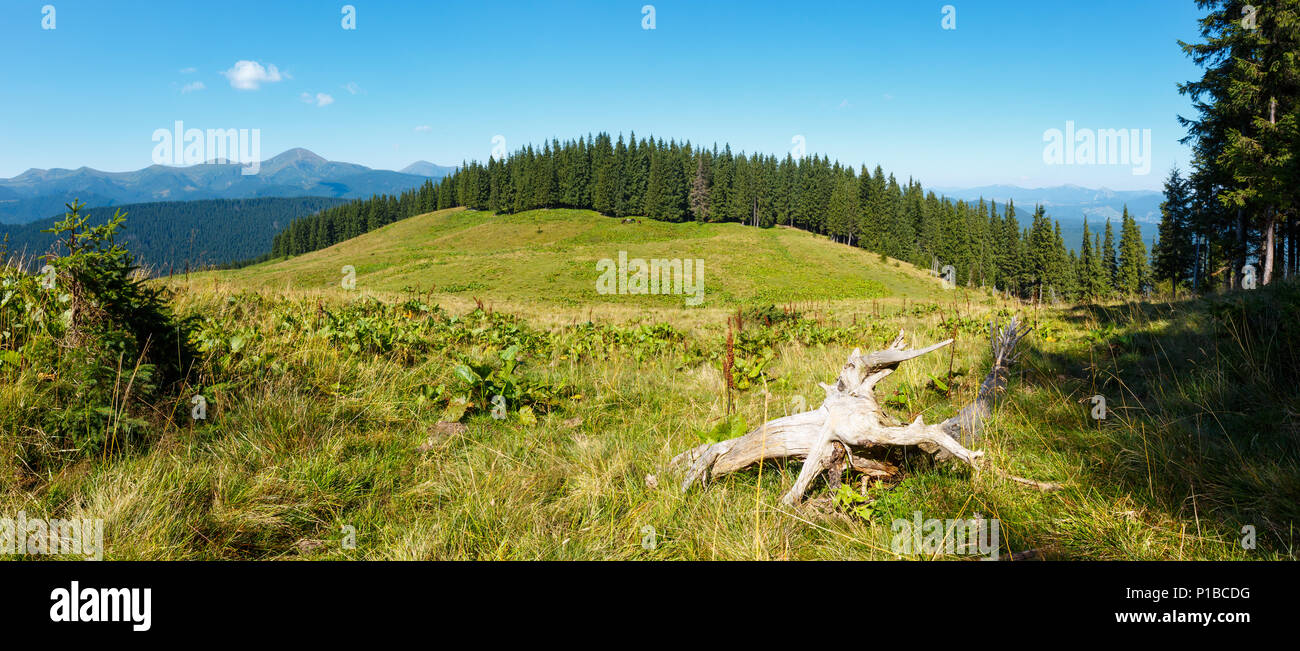 Estate Chornohora montagna cresta panorama da plateau Vesnjarka (Carpazi, Ucraina). Foto Stock