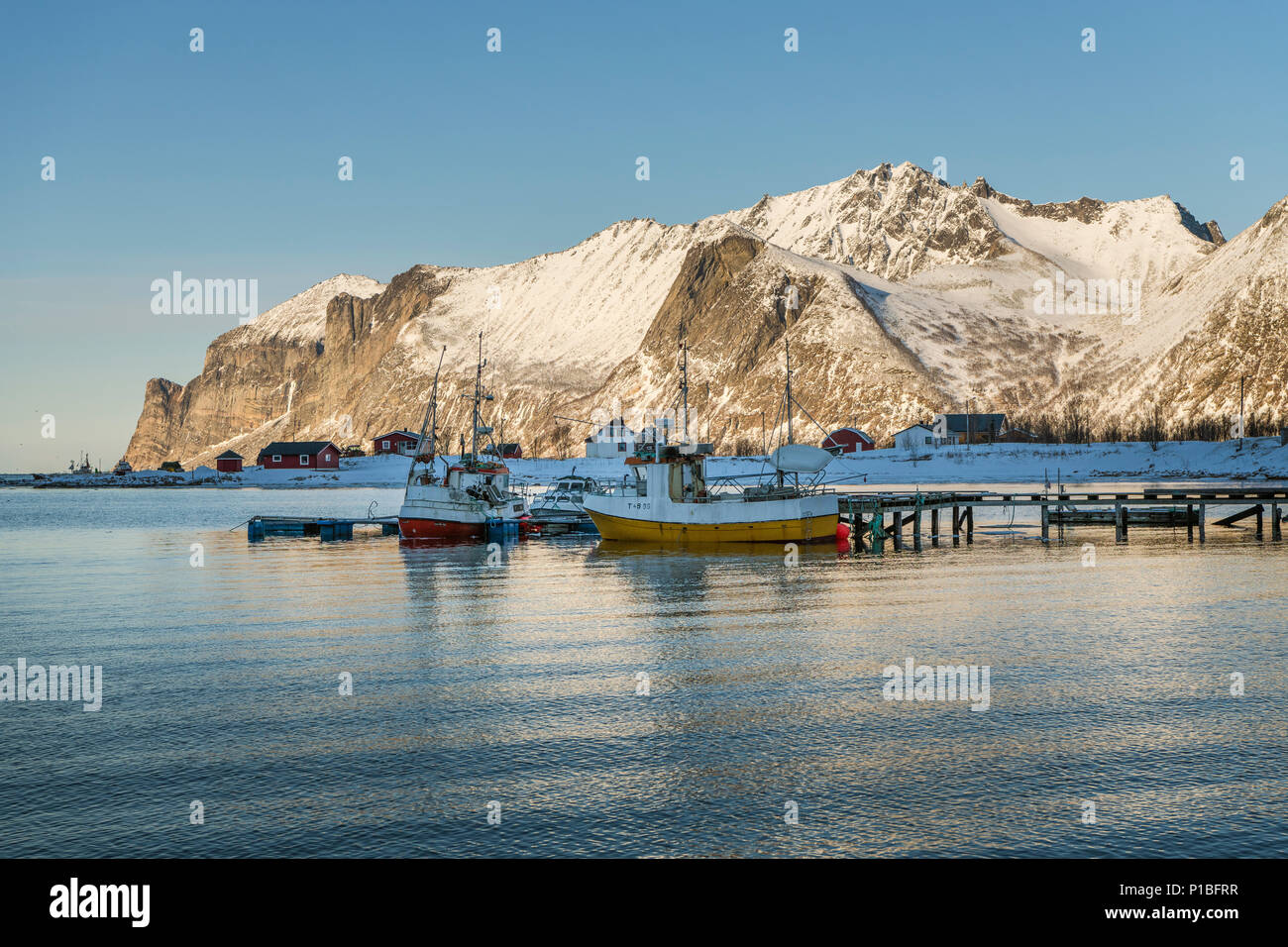 Mefjord, Senjahopen, barche da pesca Senja, Norvegia Foto Stock