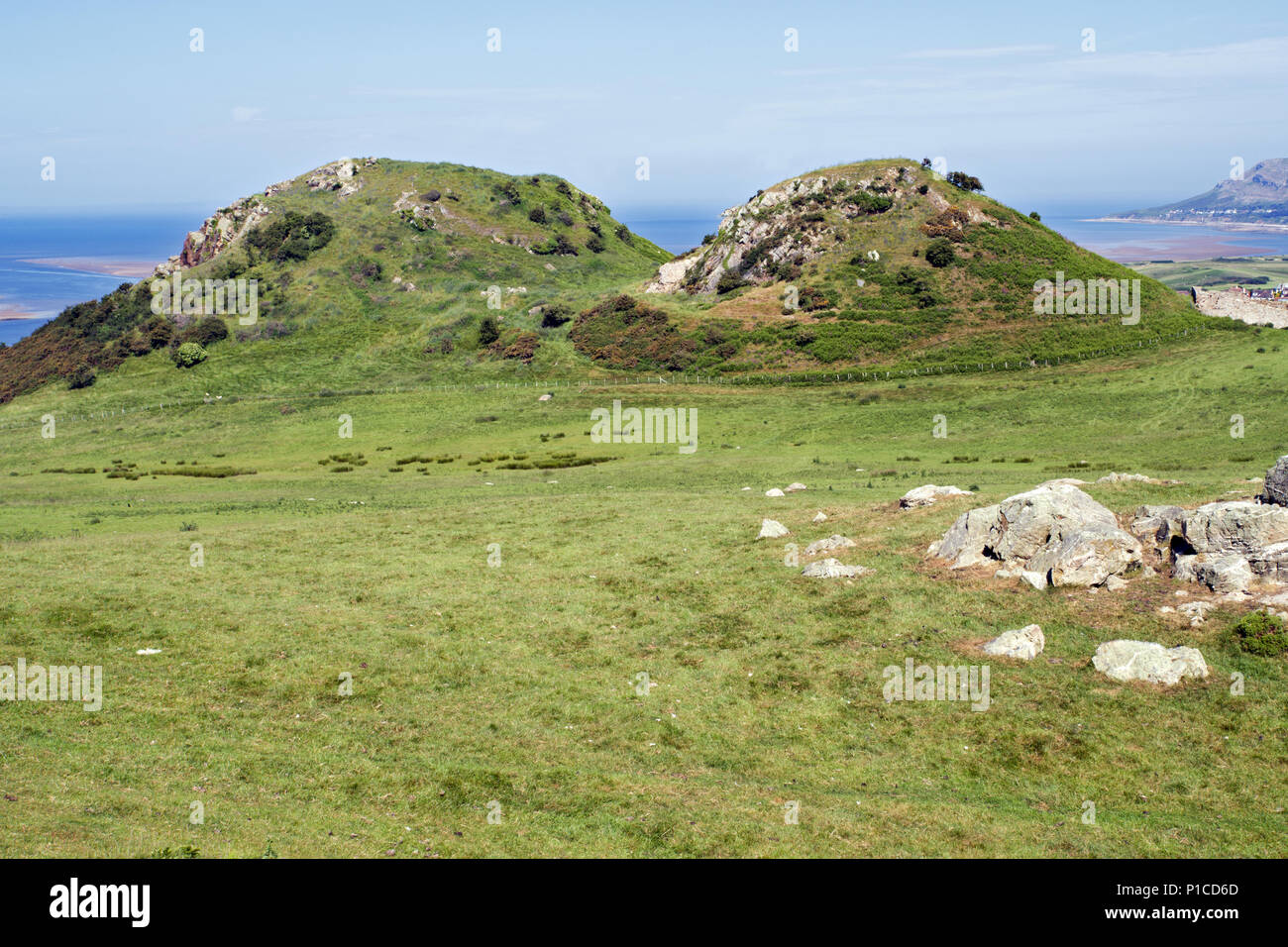 I picchi gemelli di Deganwy una volta supportata una fortezza di pietra conosciuta come Deganwy Castello. È stato costruito da Enrico III nel 1245-50 ma solo frammenti. Foto Stock