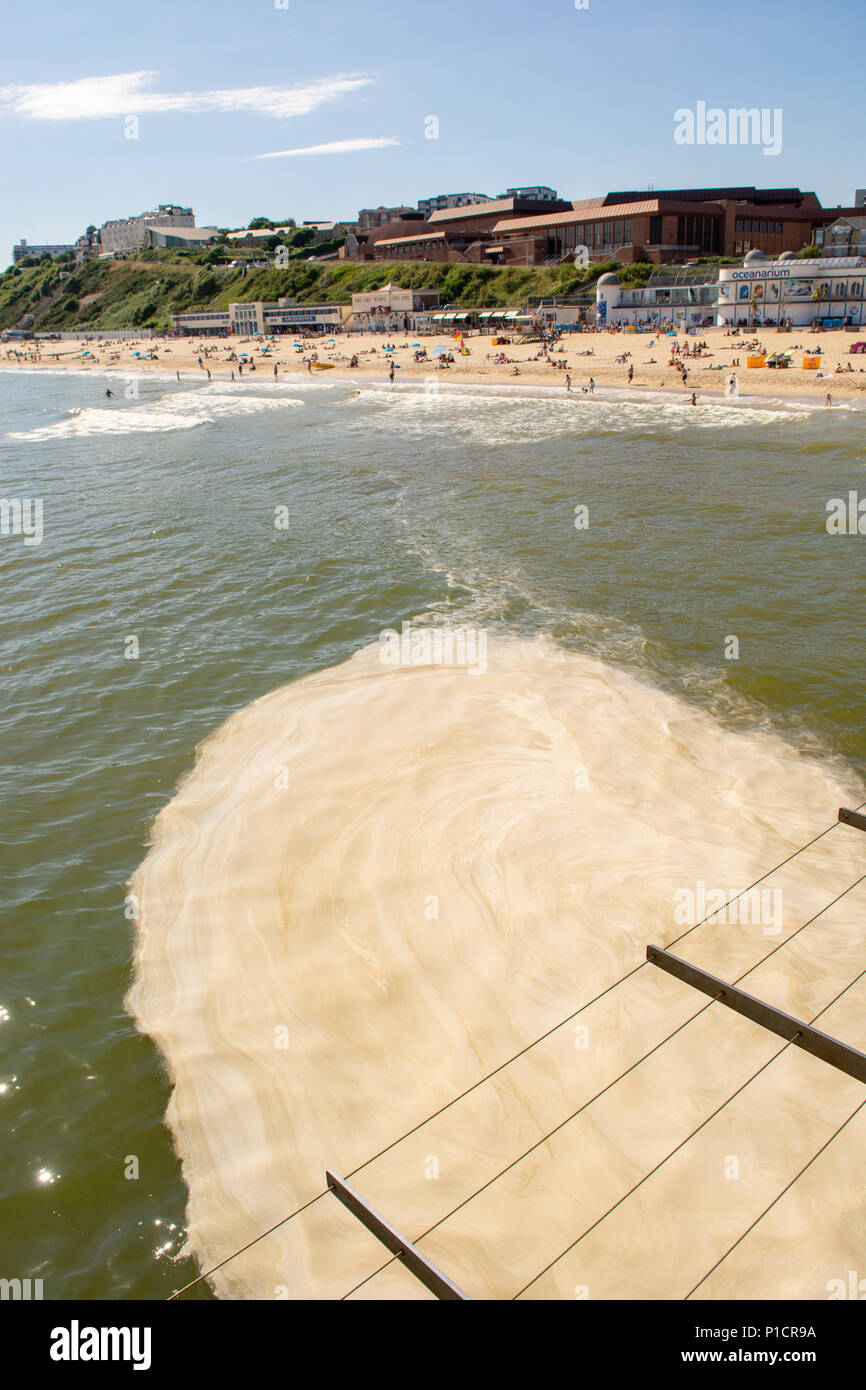 Le alghe marroni fioriscono più del solito all'inizio dell'estate al largo della costa meridionale. La fioritura delle alghe puzzolente, antiestetiche e spumose, vista qui a pooling sul mare sotto il molo, è considerata innocua per nuotatori e bagnanti. Bournemouth, Dorset, Inghilterra, Regno Unito, 11th giugno 2018. Foto Stock