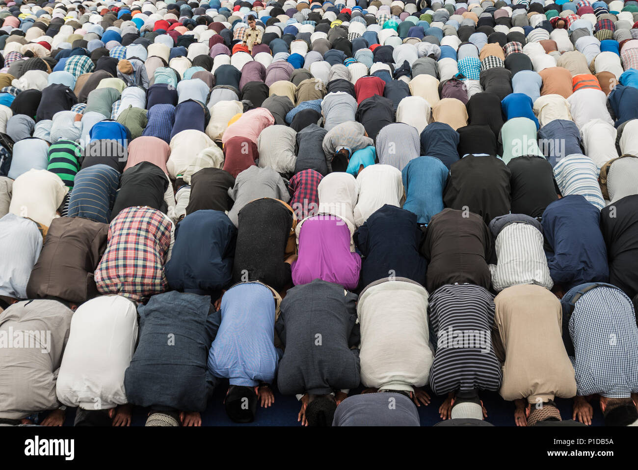 Fattoria di Oakland, Green Street, East Worldham, Alton, Hampshire GU34 3AU. Il 14 agosto 2016. Il Califfo mondiale della Ahmadiyya comunità musulmana, la sua H Foto Stock