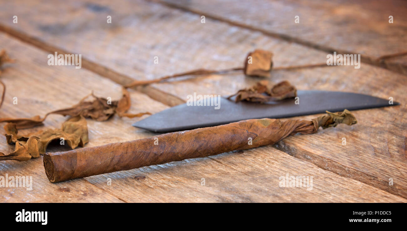 Close up di un cubano di sigari fatti a mano con secchi di foglie di tabacco Foto Stock