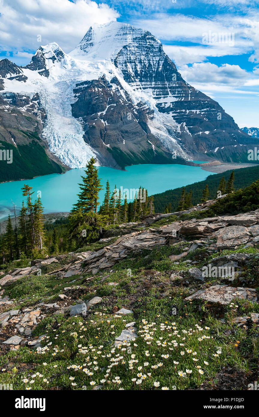 Berg Lago, Monte Robson Provincial Park, British Columbia, Canada Foto Stock