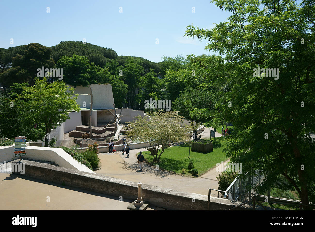 foto di zoo di napoli