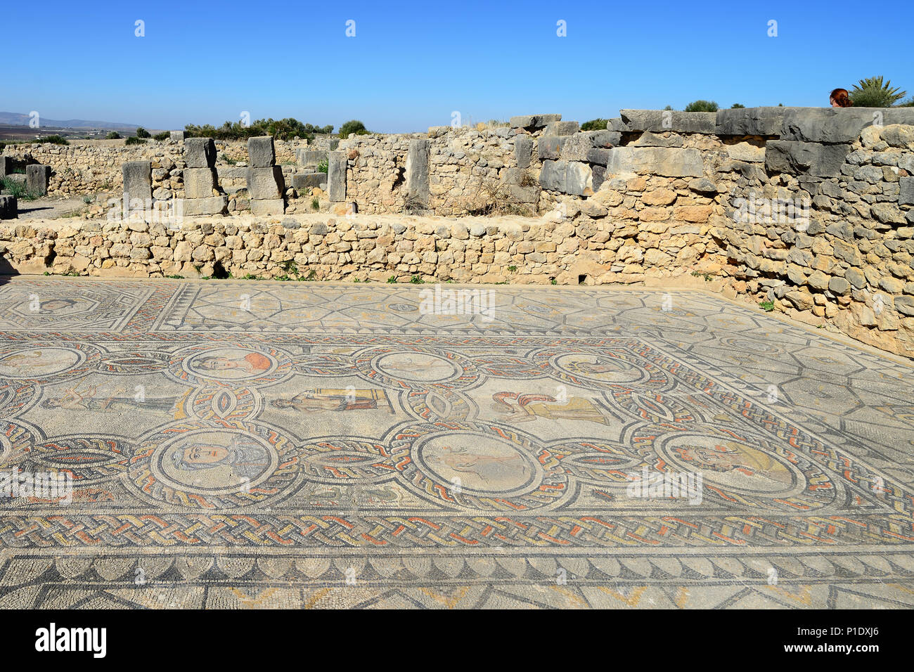VOLUBILIS, Marocco - 29 novembre 2015: ampio complesso di rovine della città romana Volubilis - di antica città capitale della Mauritania nel centrale p Foto Stock