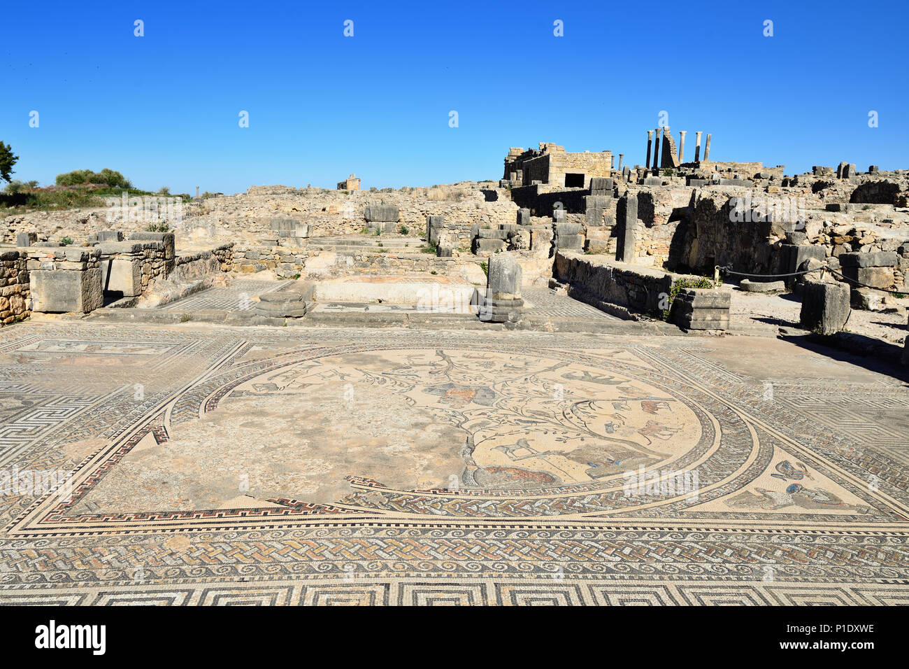 Ampio complesso di rovine della città romana Volubilis - di antica città capitale della Mauritania nella parte centrale del Marocco dalla città di Meknes. Il Foto Stock