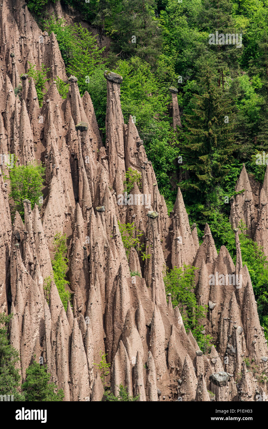 Piramidi di terra, Renon - Renon, Trentino Alto Adige - Alto Adige, Italia Foto Stock