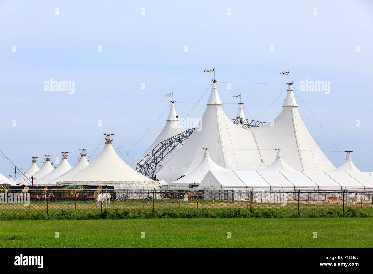 Cavalia Odysseo big top tenda, Winnipeg, Manitoba, Canada. Foto Stock